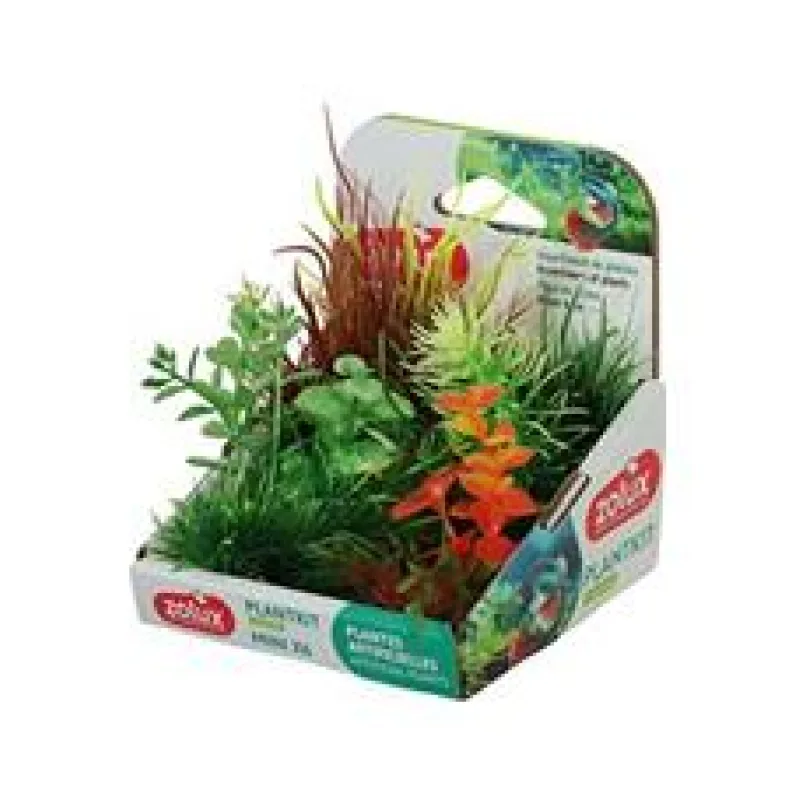 Rostliny akvarijní PLANTKIT 3 Zolux 1 sada MINI/6 ks