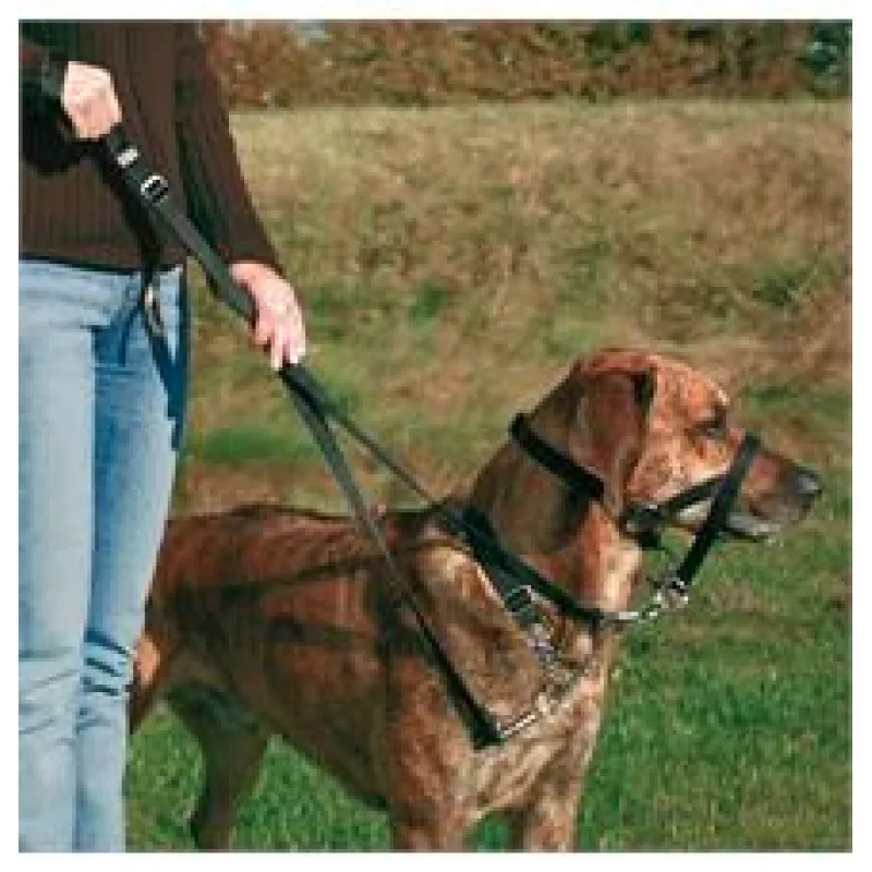 TOP TRAINER výcviková ohlávka TRIXIE S 22 cm