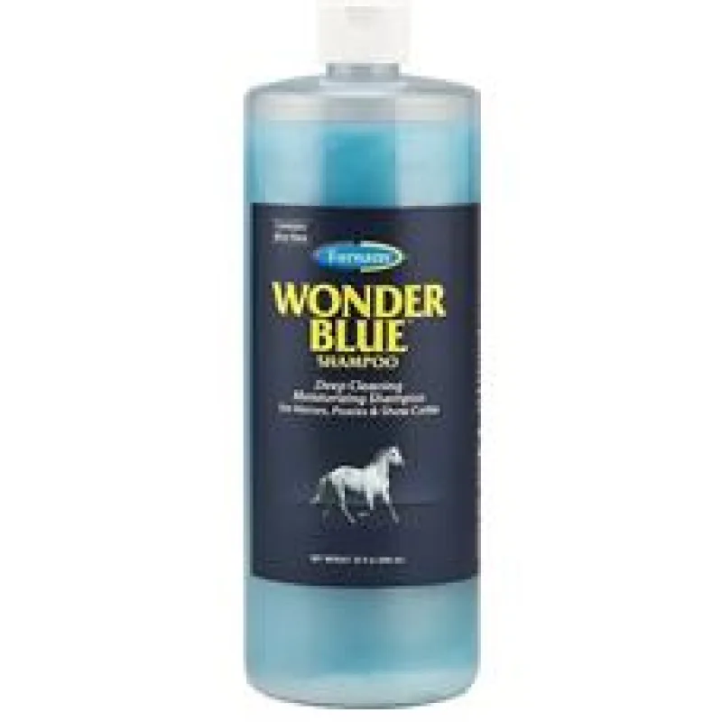 FARNAM Wonder Blue shampoo Aloe Vera 946 ml