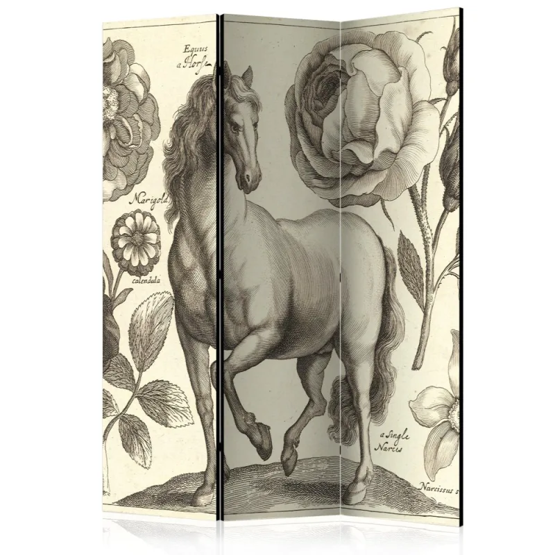 Artgeist Paraván - Horse [Room Dividers]