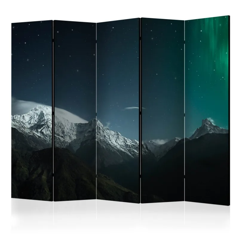 Artgeist Paraván - Northern lights [Room Dividers]