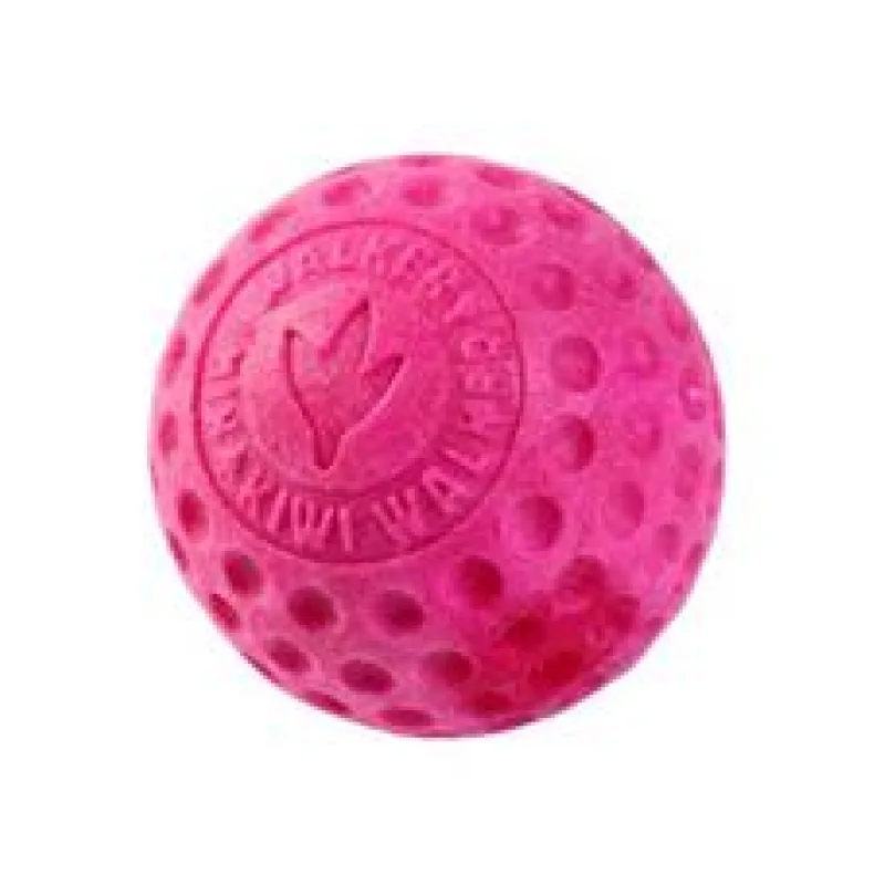 Hračka pes BALL MINI plov. z TPR pěny KW růžová