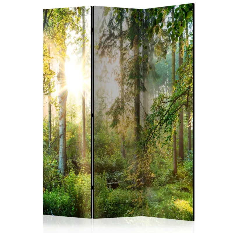 Artgeist Paraván - Untamed Nature [Room Dividers]