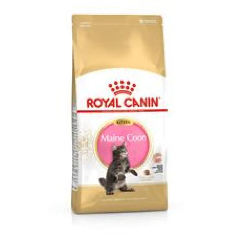 ROYAL CANIN Maine Coon Kitten 400 g
