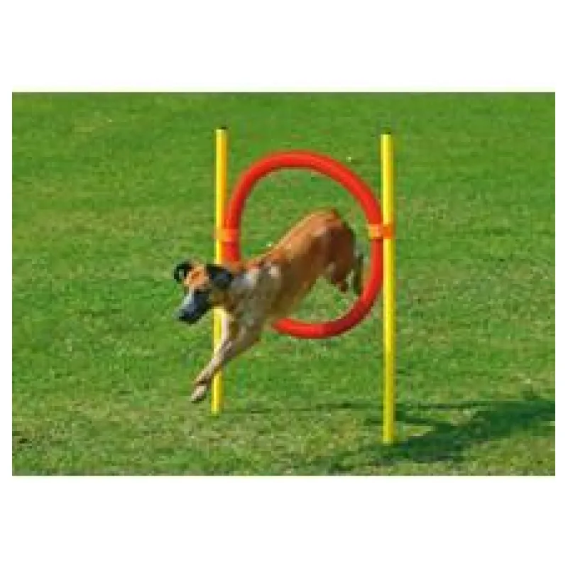Karlie Agility překážka - kruh, žlutá/červená