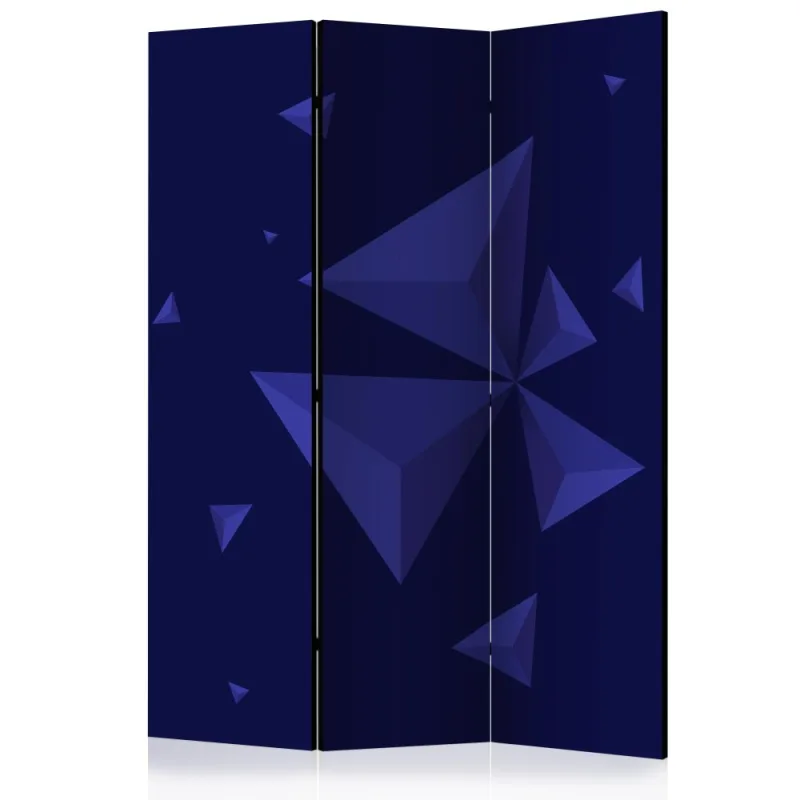 Artgeist Paraván - Meteor shower [Room Dividers]