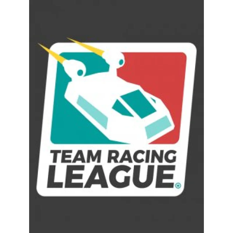 ESD Team Racing League ESD_6277