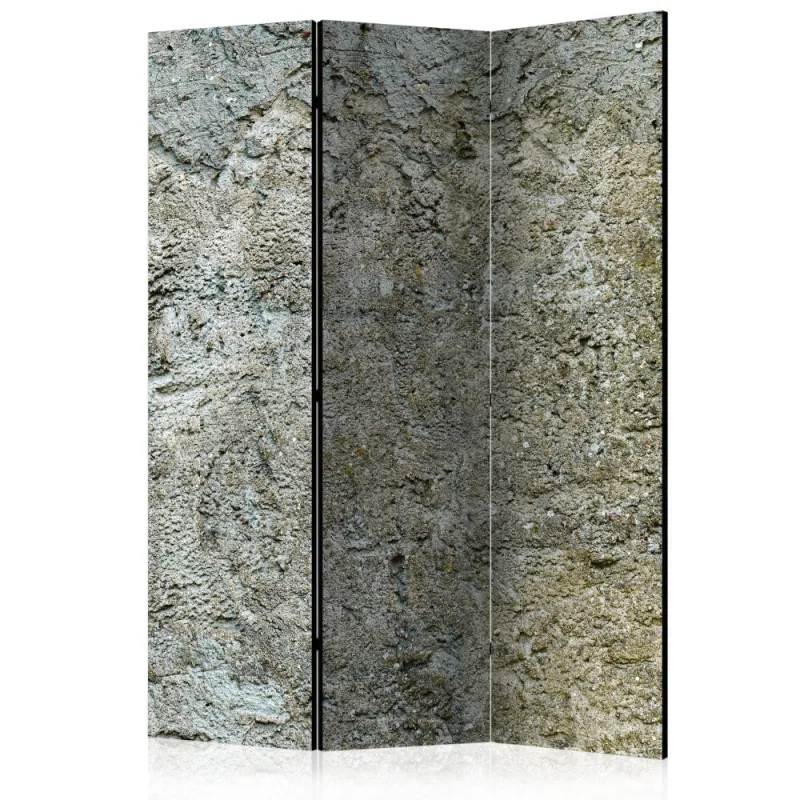 Artgeist Paraván - Stony Barriere [Room Dividers]