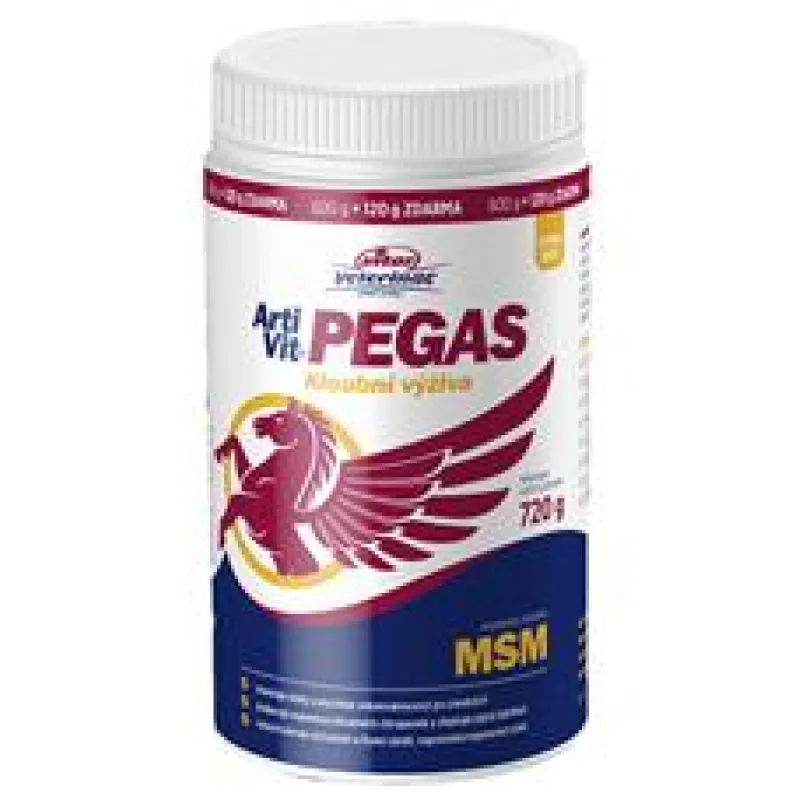 ArtiVit Pegas MSM 3 + 1 + šumivý vitamín C