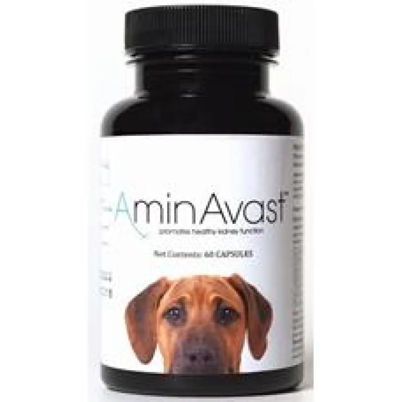 AminAvast Dog 60 cps