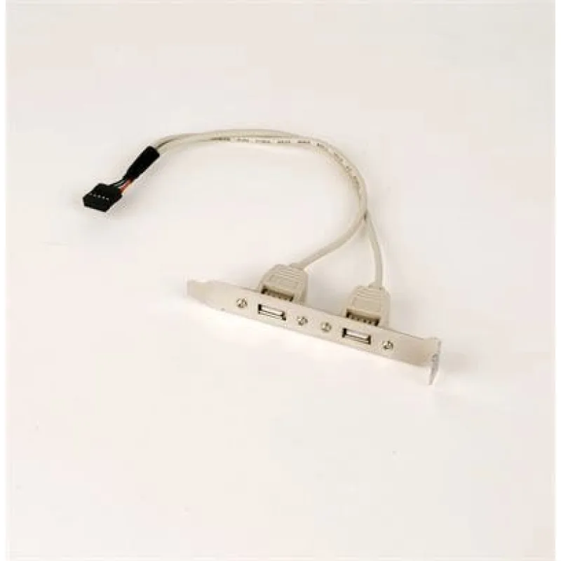 Kábel CABLEXPERT USB PORTY prídavné 2 x USB pre m/b CCUSBRECEPTACLE