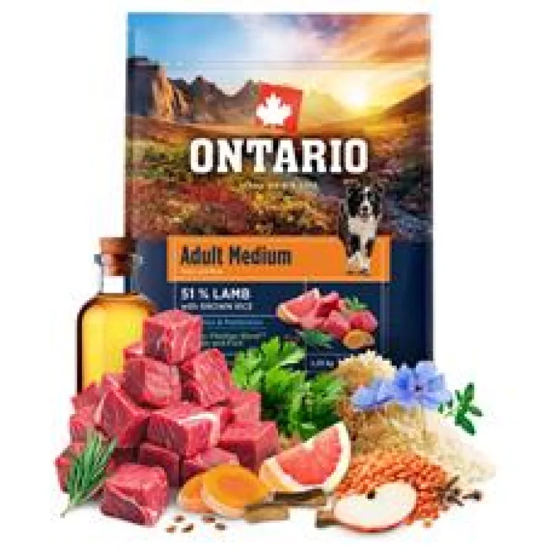 Ontario Adult Medium Lamb & Brown Rice 2x12kg