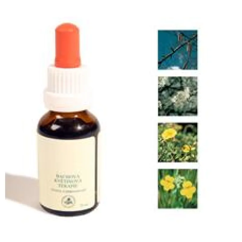 Bachovy kapky - Strach 25 ml