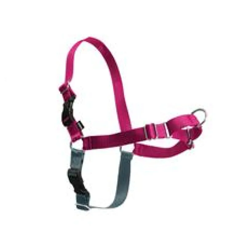 Postroj EasyWalk , malinový L