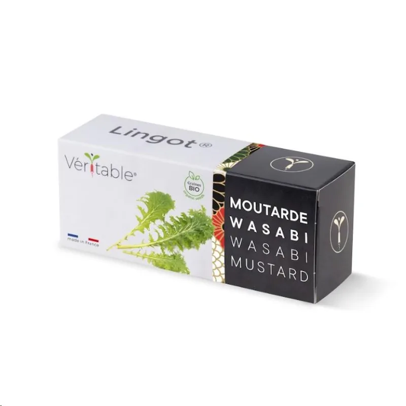 Véritable Lingot Wasabi hořčice listová - BIO VLIN-S10-Was06A