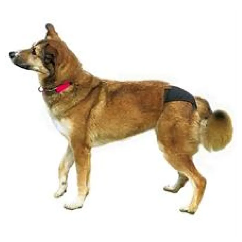 Hárací kalhotky de Luxe Trixie L (50-59 cm)