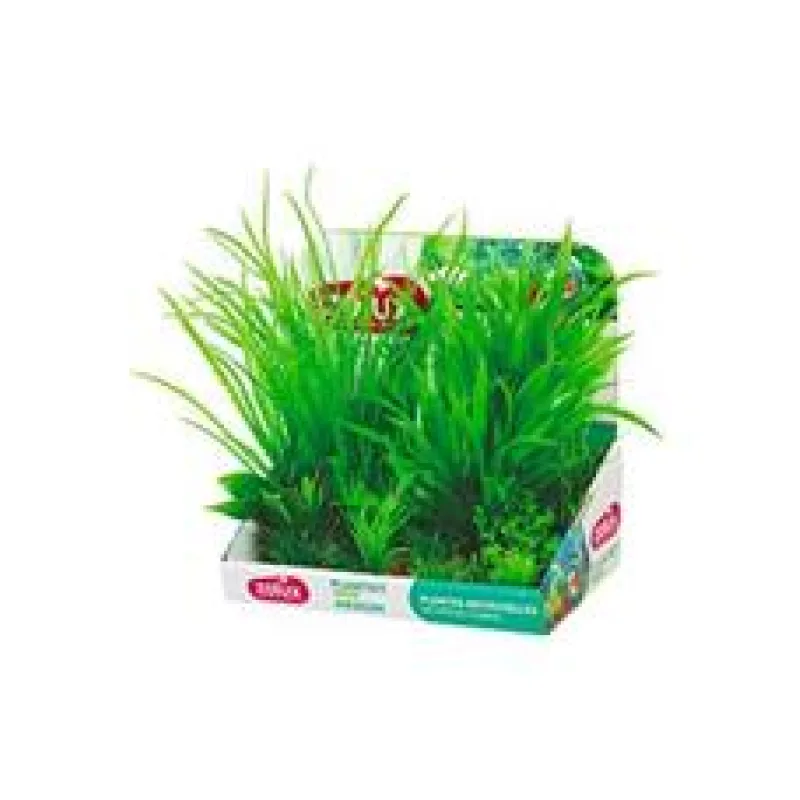 Rostliny akvarijní PLANTKIT 1 Zolux 1 sada/M
