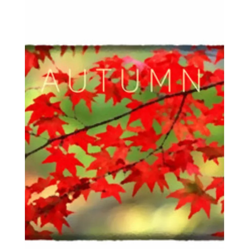 ESD Autumn ESD_11130