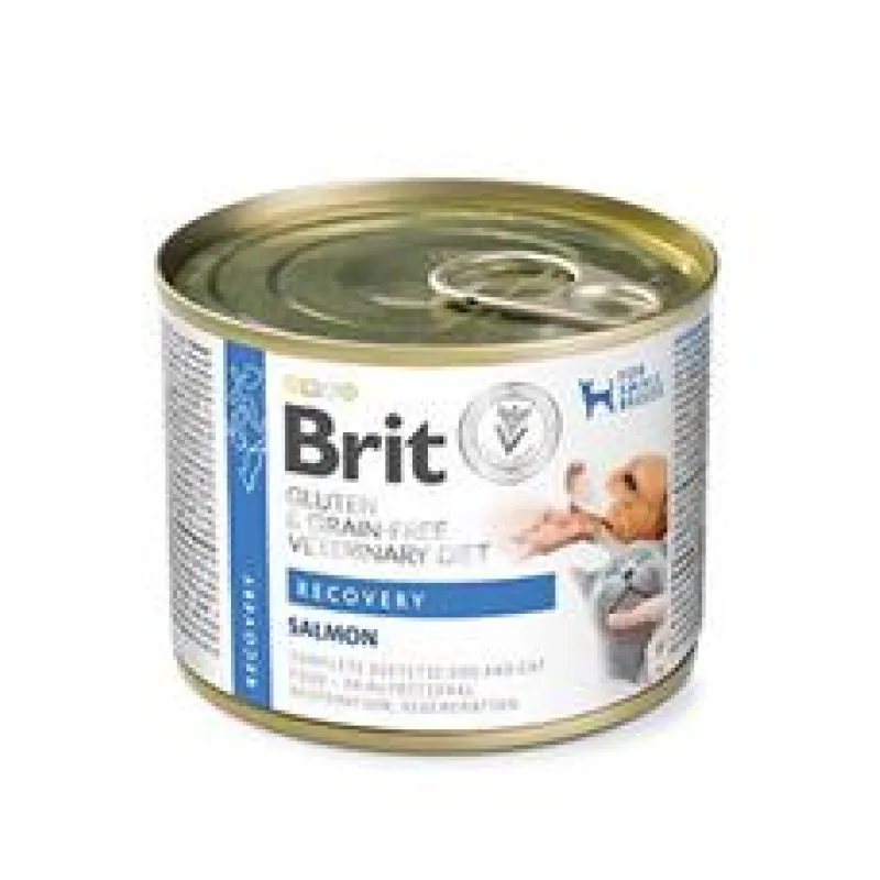 Brit VD Dog+Cat GF konz Recovery 200g