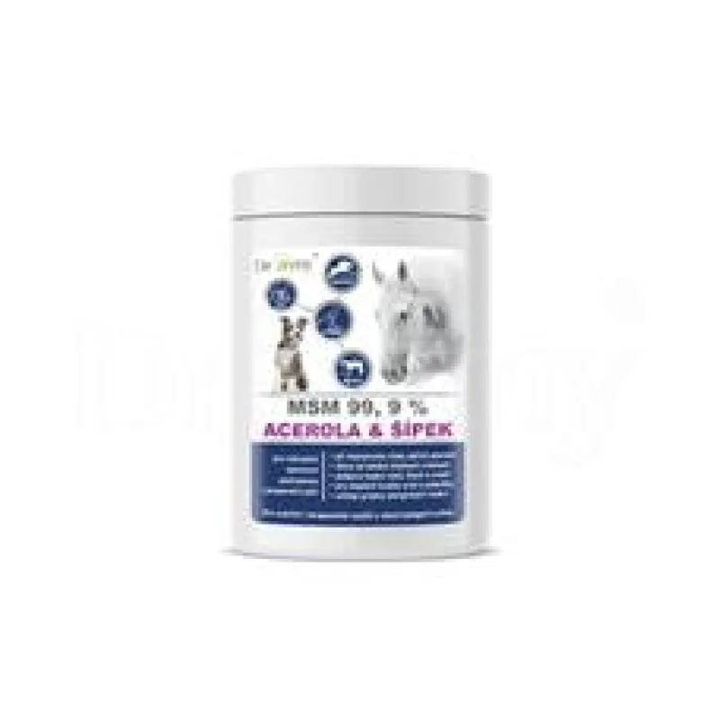 Dromy MSM + Acerola se šípkem 1000 g