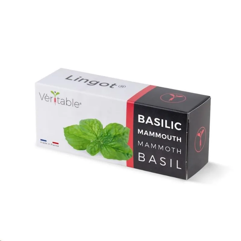 Véritable Lingot Bazalka mamutí VLIN-O10-Bas058