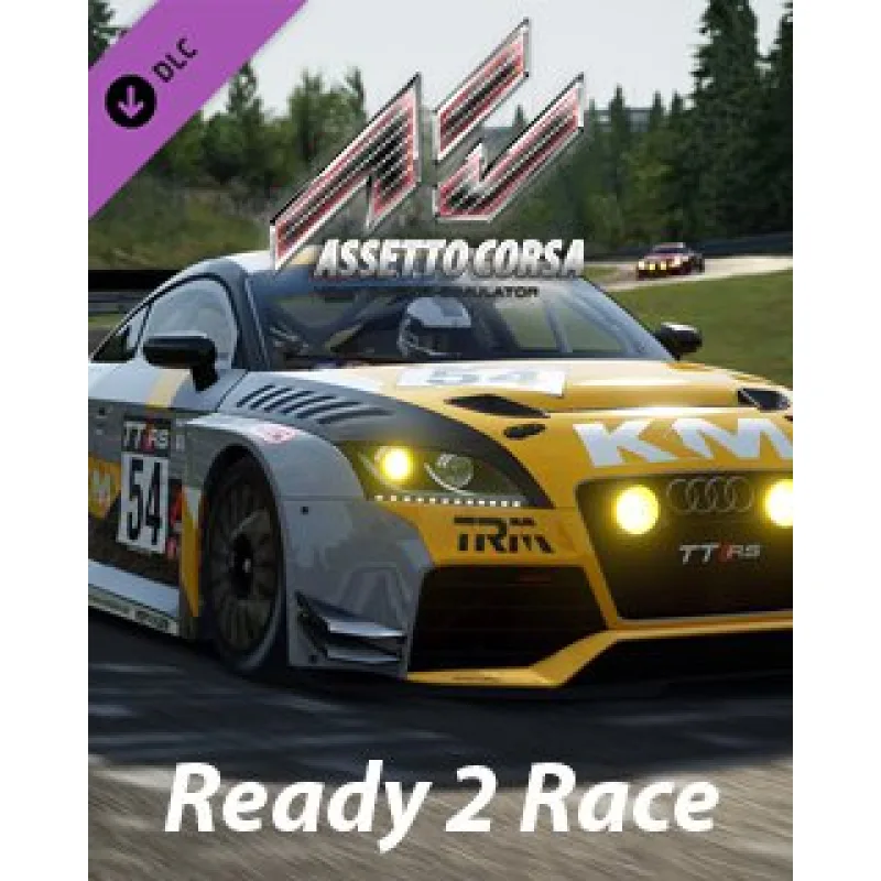 ESD Assetto Corsa Ready To Race ESD_5413