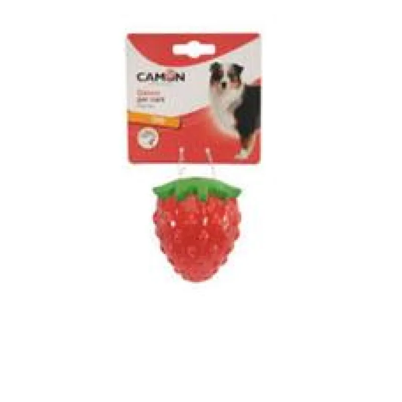 JAHODA TPR NA PAMLSKY 9 cm CAMON 1 ks