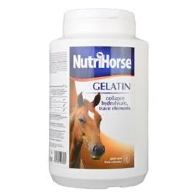 Nutri Horse Gelatin (Gel) 1 kg