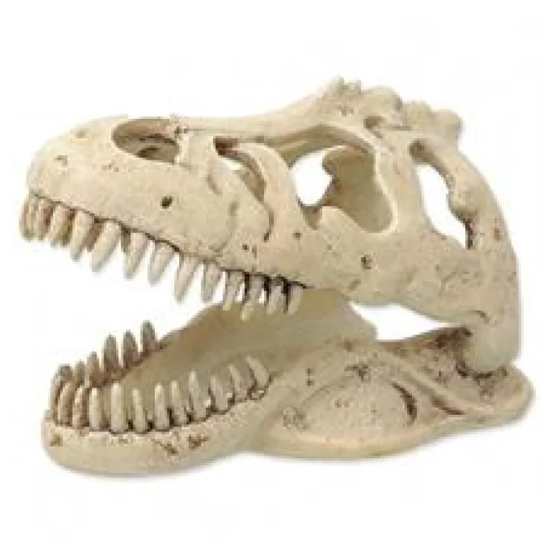 Repti Planet Dekorace T-REX lebka 13,3x8,5x9cm 1 ks