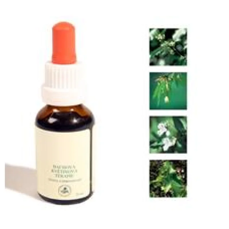 Bachovy kapky - Agresivita 25 ml - exp. 1/25 - 1 KS SKLADEM