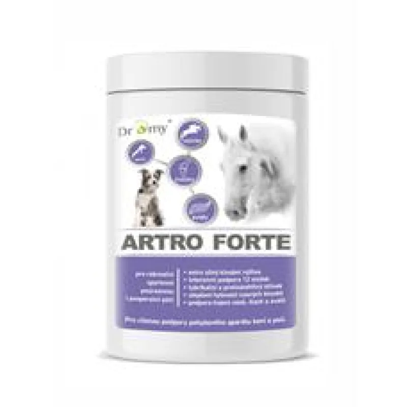 Dromy Artro FORTE 900 g