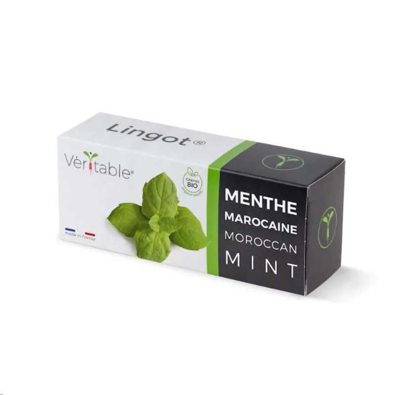 Véritable Lingot Marocká máta - BIO VLIN-A10-Men056
