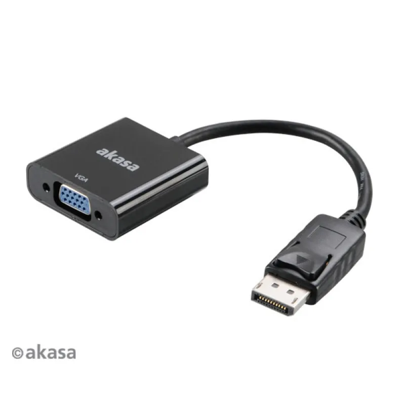 AKASA - adaptér DP na D-sub - 20 cm AK-CBDP04-20BK