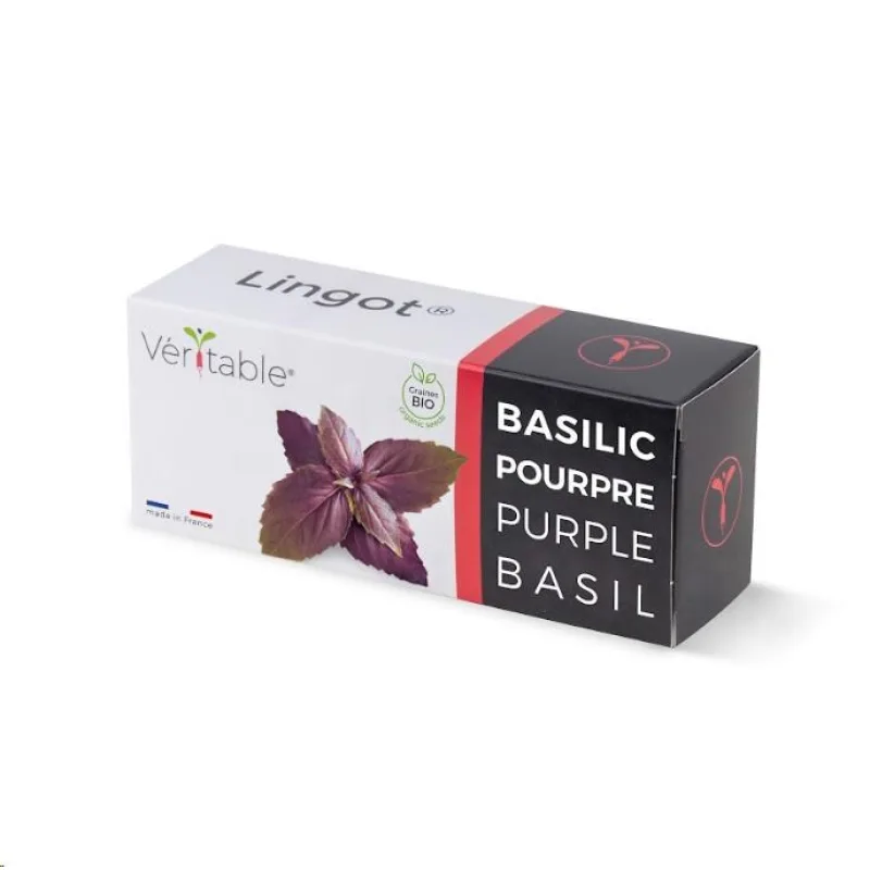 Véritable Lingot Fialová bazalka - BIO VLIN-O10-Bas00F