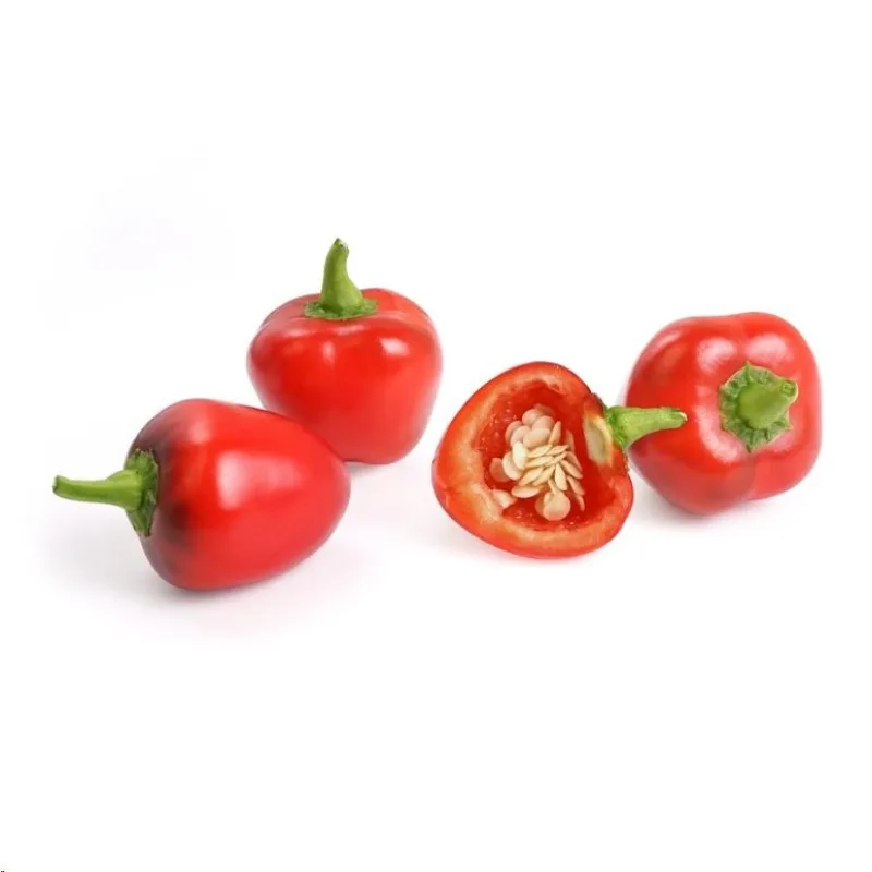 Véritable Lingot Červená mini paprika - BIO VLIN-L5-Poi017