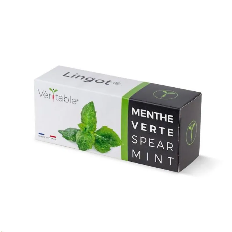 Véritable Lingot Máta klasnatá VLIN-A10-Men009