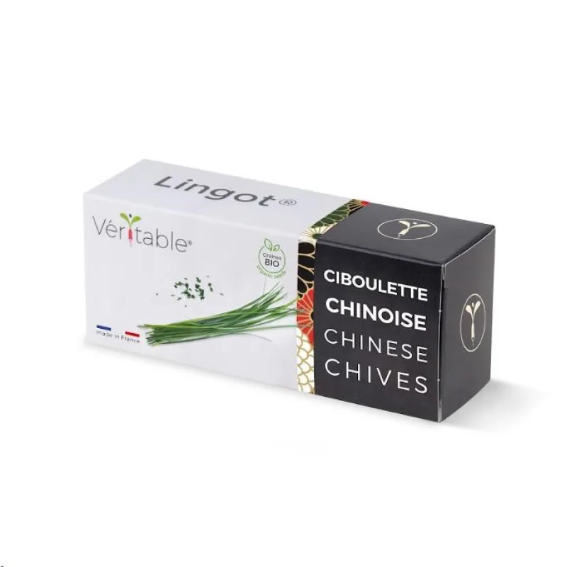 Véritable Lingot Čínská pažitka - BIO VLIN-S10-Cib02F