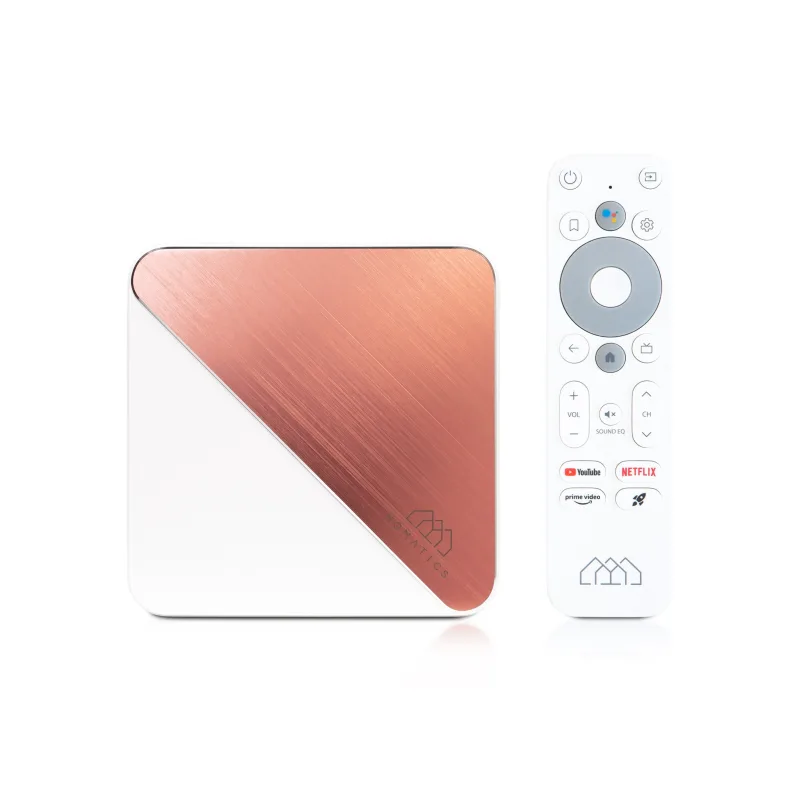 Homatics Box R PLUS Android TV HOMATICS BOX R PLUS