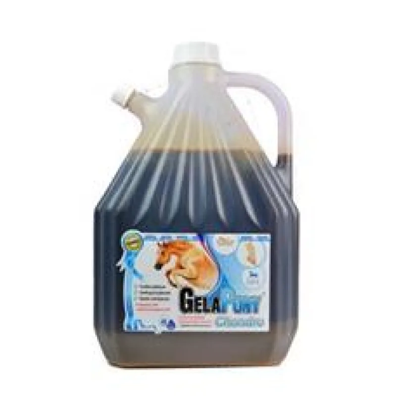 Gelapony Chondro Biosol 3000 ml