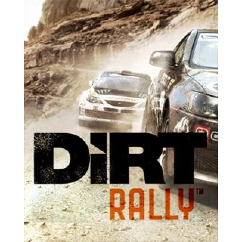 ESD DiRT Rally ESD_2609