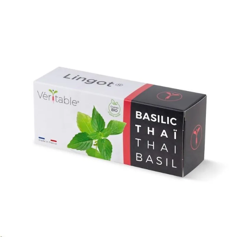 Véritable Lingot Thajská bazalka - BIO VLIN-O10-Bas00D