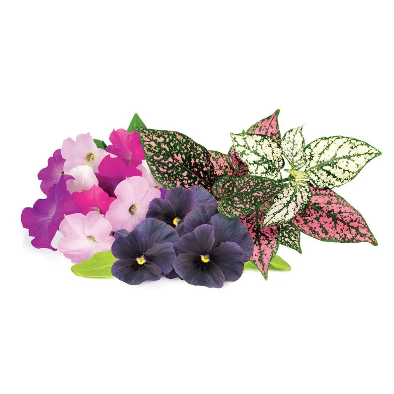 Smart Garden Mix kvetín 3-pack PCW-083