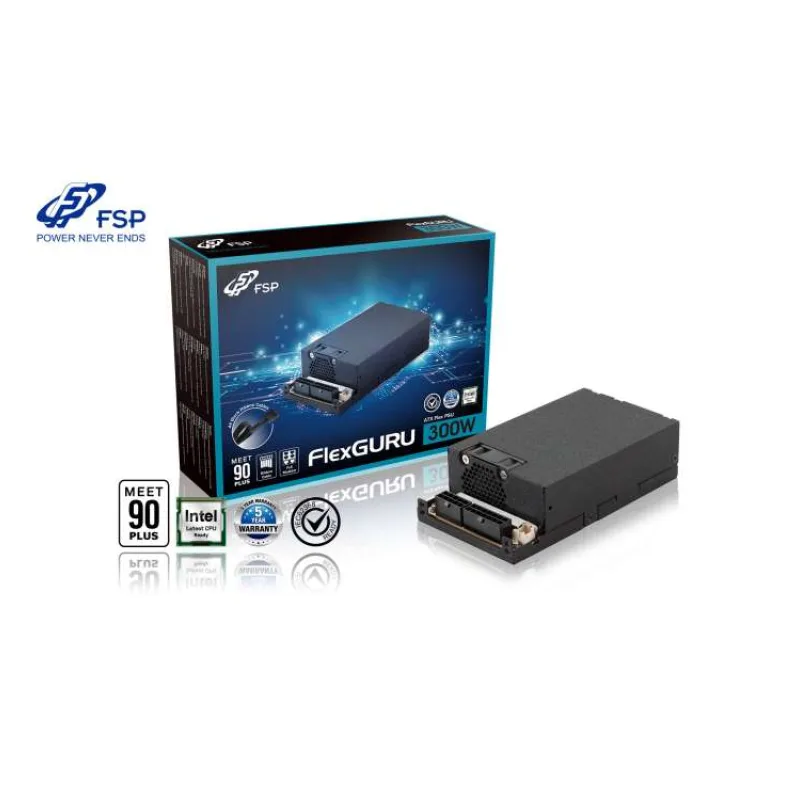FSP ATX FlexGURU/300W/Flex/80PLUS Gold/Modular/Retail (PPA3004300)