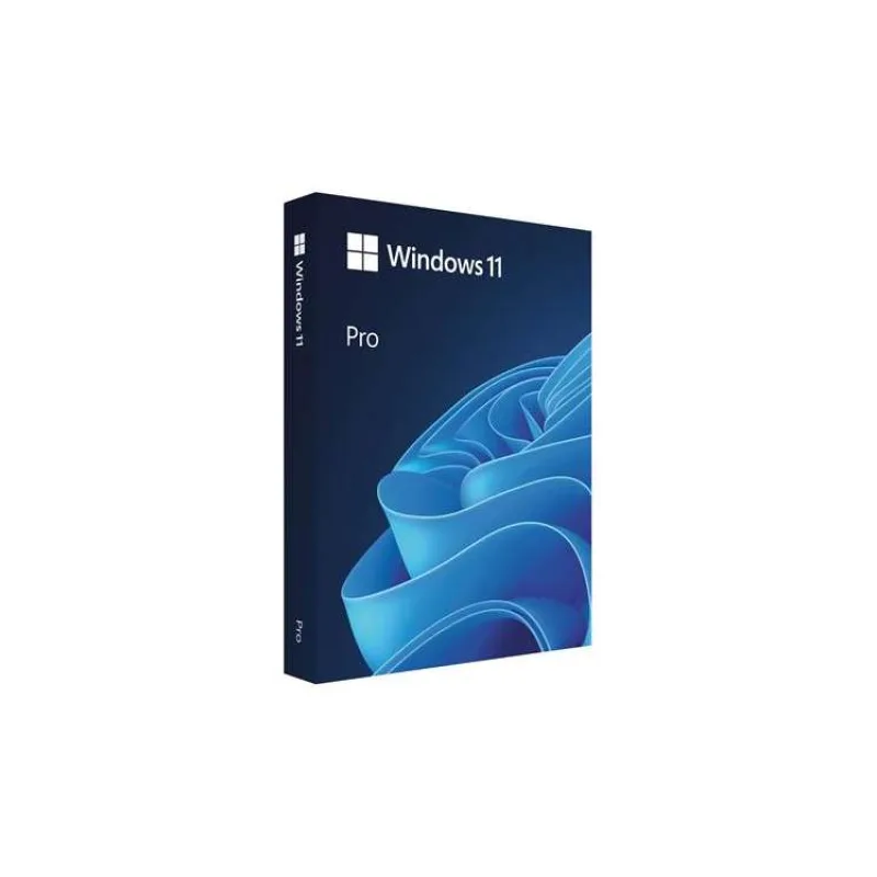 Windows Pro 11 64-bit Slovak USB (HAV-00161)