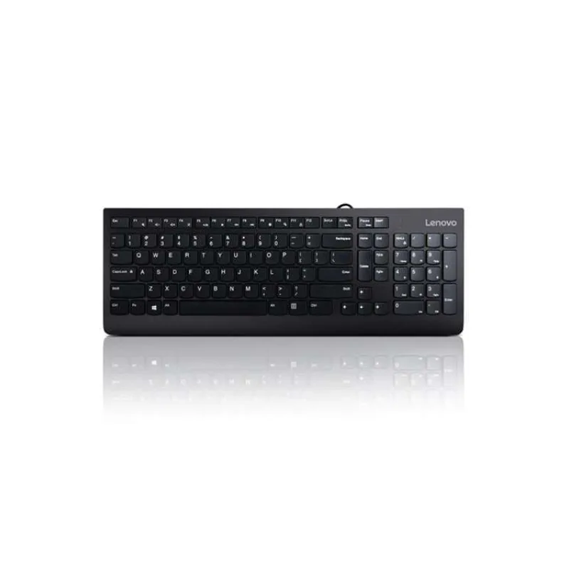 Lenovo 300 USB Klávesnica (GX30M39663)
