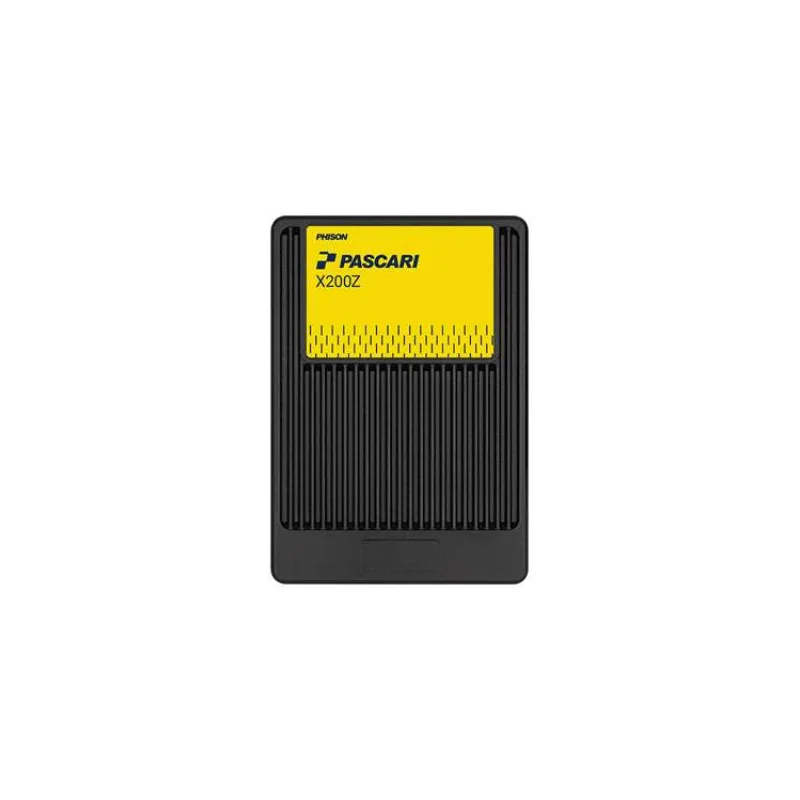 Pascari X200P 3,84TB SSD U.2 PCI-E 5.0 Single Port Enterprise (XP208H023T84P324T0910)