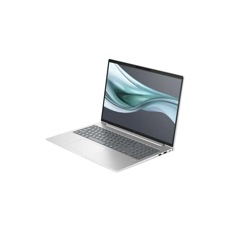 HP EliteBook 660 G11/ Ultra 5-125U/ 16GB DDR5/ 512GB SSD/ Intel Graphics/ 16"WUXGA,matný/ W11P/ stříbrná (A37Z3ET#BCM)