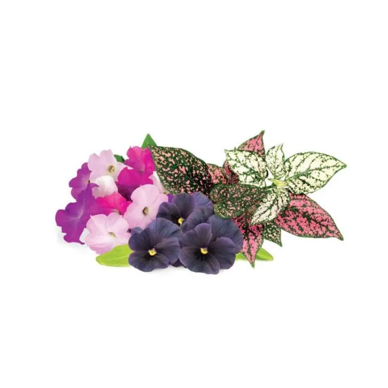 Smart Garden Mix kvetín 3-pack (PCW-083)