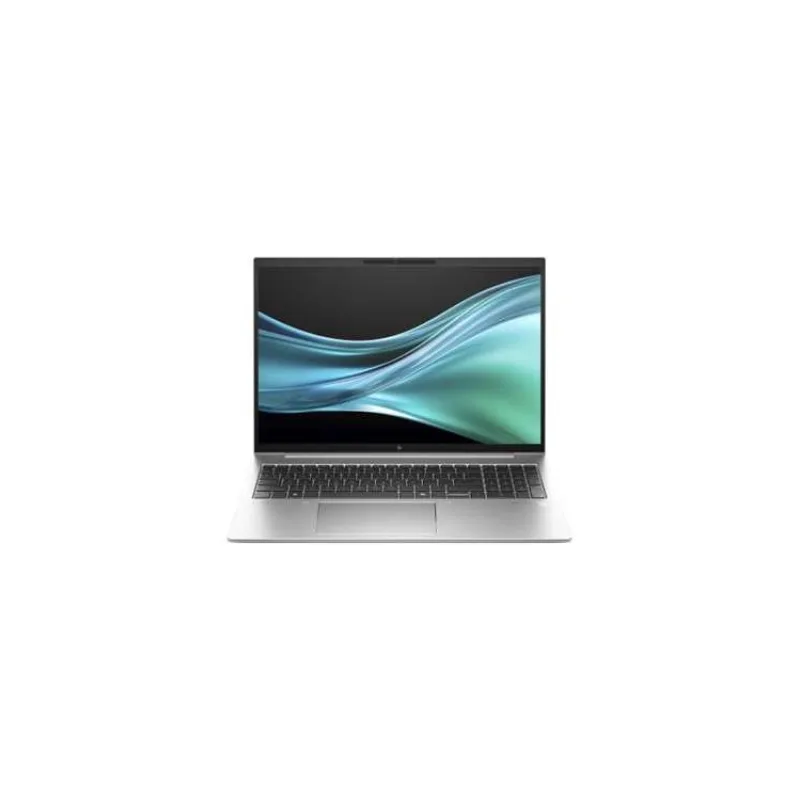 HP EliteBook 865 G11, R7-8840HS, 16.0 1920x1200/400n, UMA, 32GB, SSD 1TB, W11Pro, 3-3-3 p+ (9G150ET#BCM)