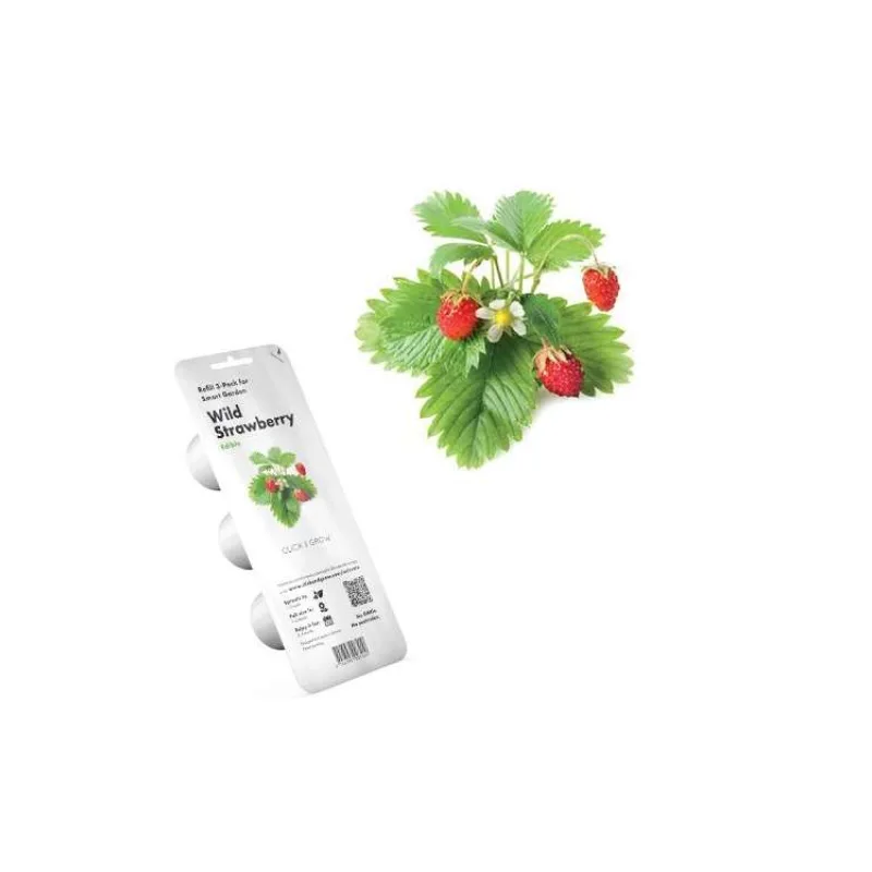 Smart Garden Lesné jahody (PCW-011)